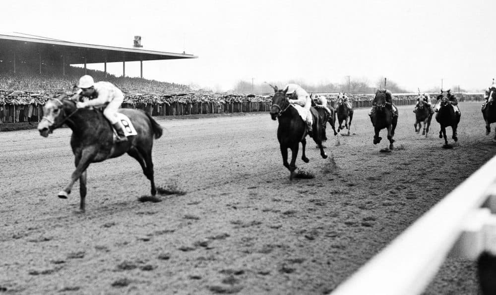 amaica Race Track in New York City was the setting for the column &quot;Death of a Racehorse&quot; by W.C. Heinz. (JR/AP)