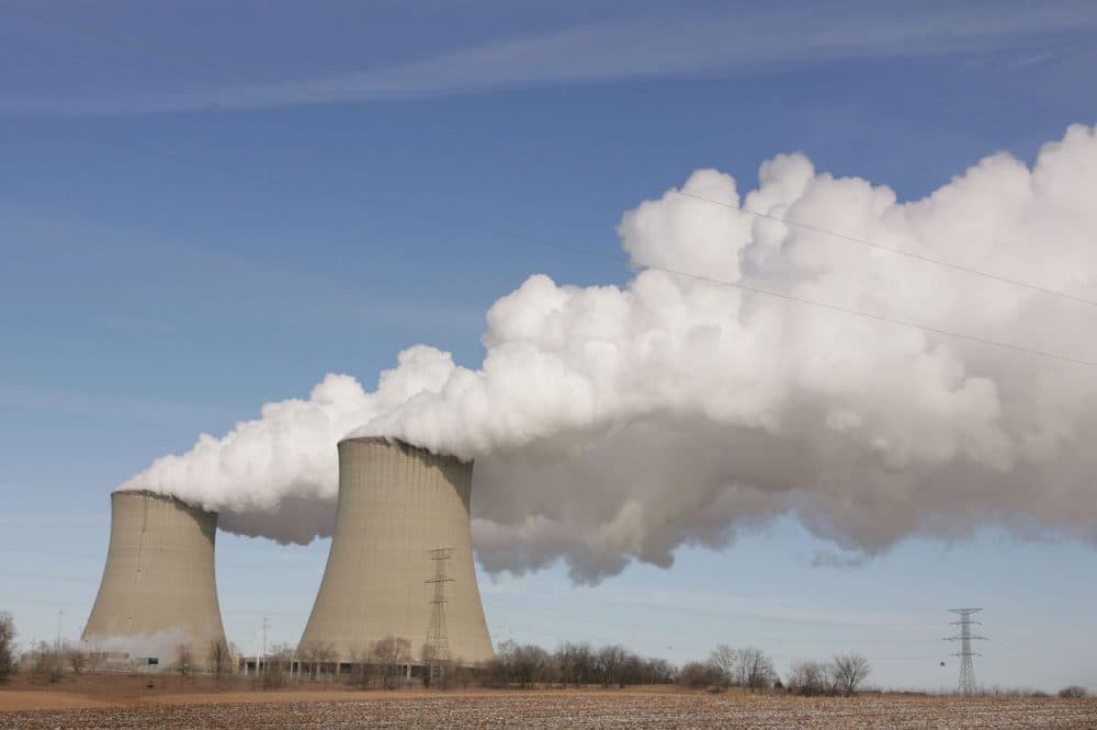 Steam billows from the cooling towers at Exelon's nuclear power generating station February 17, 2006 in Byron, Illinois. (Scott Olson/Getty Images)