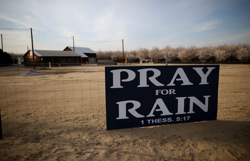 A sign is posted near an almond farm on February 25, 2014 in Turlock, California. (Justin Sullivan/Getty Images)