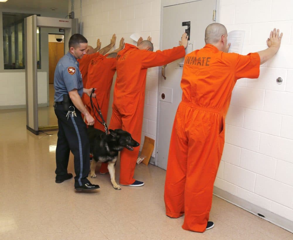 In this Thursday, Jan. 24, 2013 file photo, Corrections officer Sgt. Kenny Madden and his canine, Belle, check over prisoners at the Lexington Assessment and Reception Center, in Lexington, Okla,  (AP)