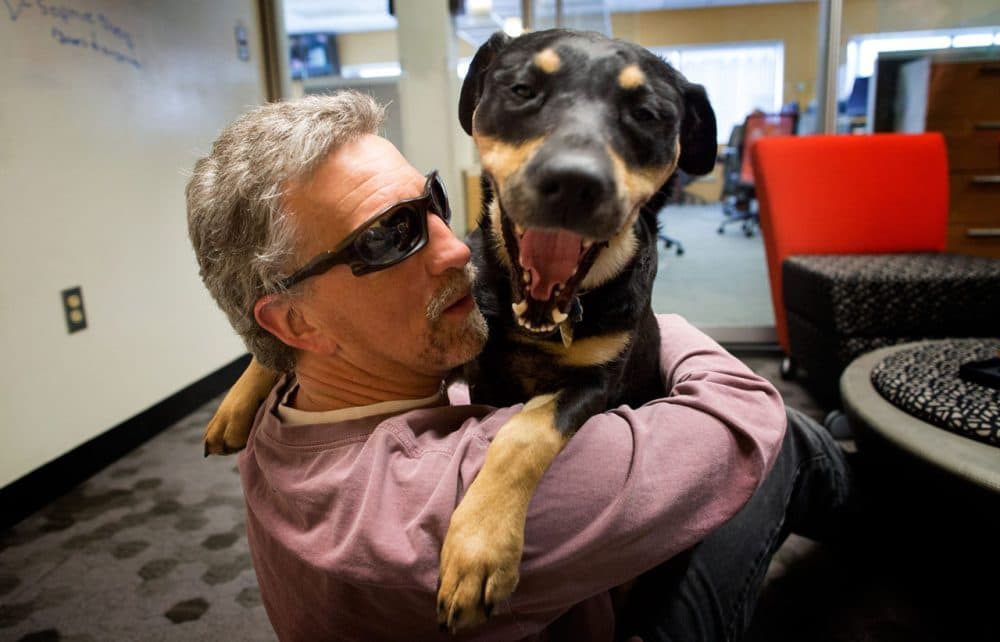 Randy Pierce with his guide dog, Autumn (Photo: Robin Lubbock/WBUR)