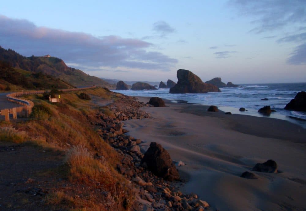 A stretch of coastline accessible via the West Coast Electric Highway, in Curry County, Oregon. (Tom Banse/Northwest News Network)