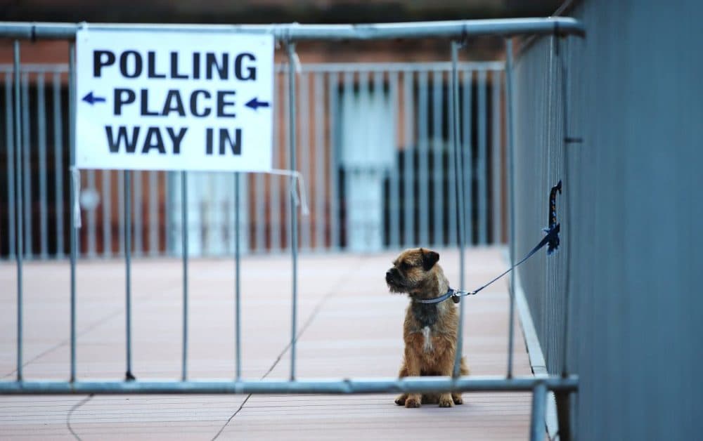 A dog is pictured outside a polling station in Glasgow, Scotland, on May 7, 2015, as Britain holds a general election. Polls opened Thursday in Britain's closest general election for decades with voters set to decide between the Conservatives of Prime Minister David Cameron, Ed Miliband's Labour and a host of smaller parties. (Ian MacNicol/AFP/Getty Images)
