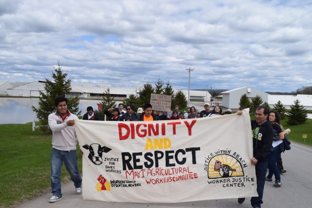About 40 farm workers and advocates marched to the front gates of Marks Farm, south of Lowville, N.Y., to protest alleged worker abuses. (Photo Courtesy of David Sommerstein)