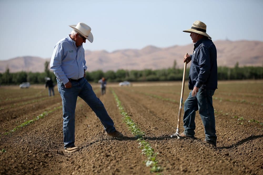 Farmer Joe Del Bosque (left) talks with a worker on April 23, 2015, in Firebaugh, California. ( Justin Sullivan/Getty Images)