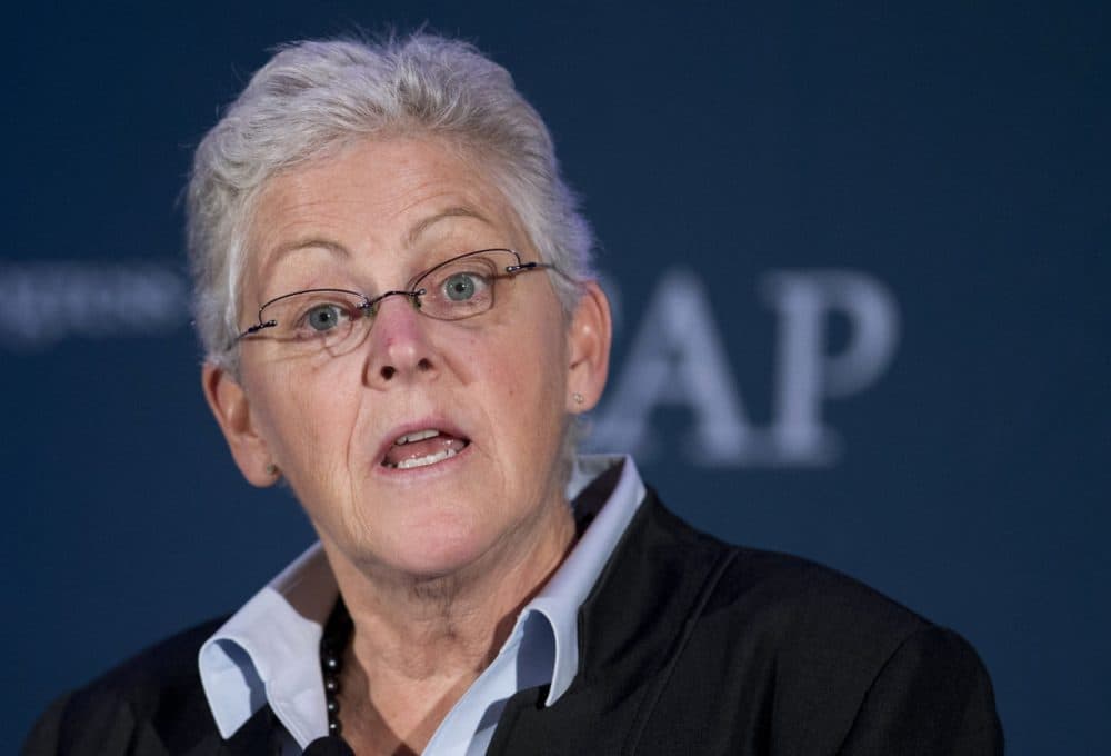 EPA Administrator Gina McCarthy speaks  in Washington in 2014. (Manuel Balce Ceneta/AP/File)