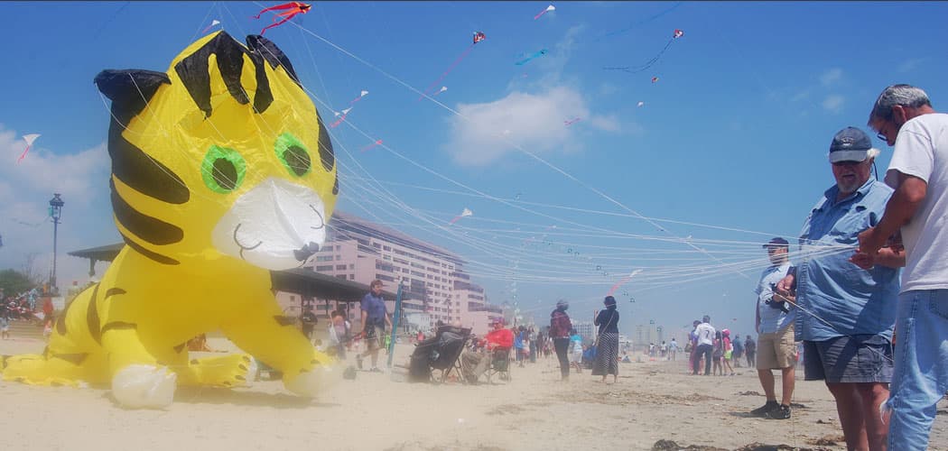 Launching a tiger kite at the Revere Beach Kite Festival. (Greg Cook)