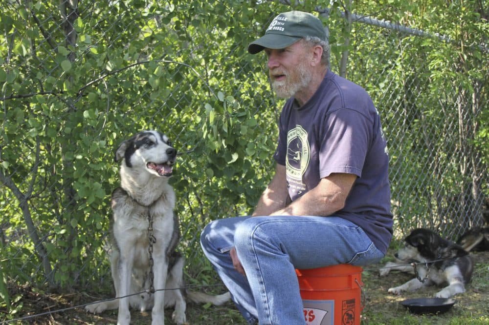 Steve Charles sits alongside his sled dog, Bridger, at an American Red Cross evacuation center in Houston, Alaska, on Monday, June 15, 2015. Many mushers had to evacuate not only themselves or but their dogs after a fast-spreading wildfire sprang up near Willow, Alaska. (Mark Thiessen/AP)