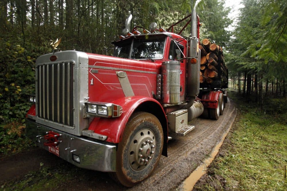 A loaded logging truck heads down the road in the forest near Banks, Ore.  (Don Ryan/AP)