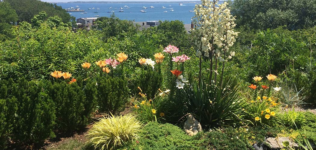 A seaside vista from the Provincetown Art Association and Museum's “Secret Garden Tour.&quot; (Courtesy) 