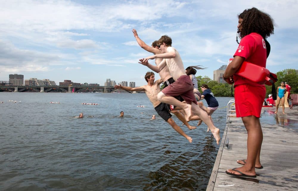 About 200 swimmers took park in Tuesday's Charles River swim, hosted by the Charles River Conservancy. (Robin Lubbock/WBUR)