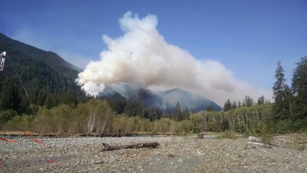 The Paradise fire is burning in Olympic National Park in the Queets River. While it may seem unusual to have a fire of this size burning in a rain forest, this is a reflection of severe conditions - the driest spring in over 100 years and a snowpack that was only 14% of average. (Courtesy National Wildfire Coordinating Group)
