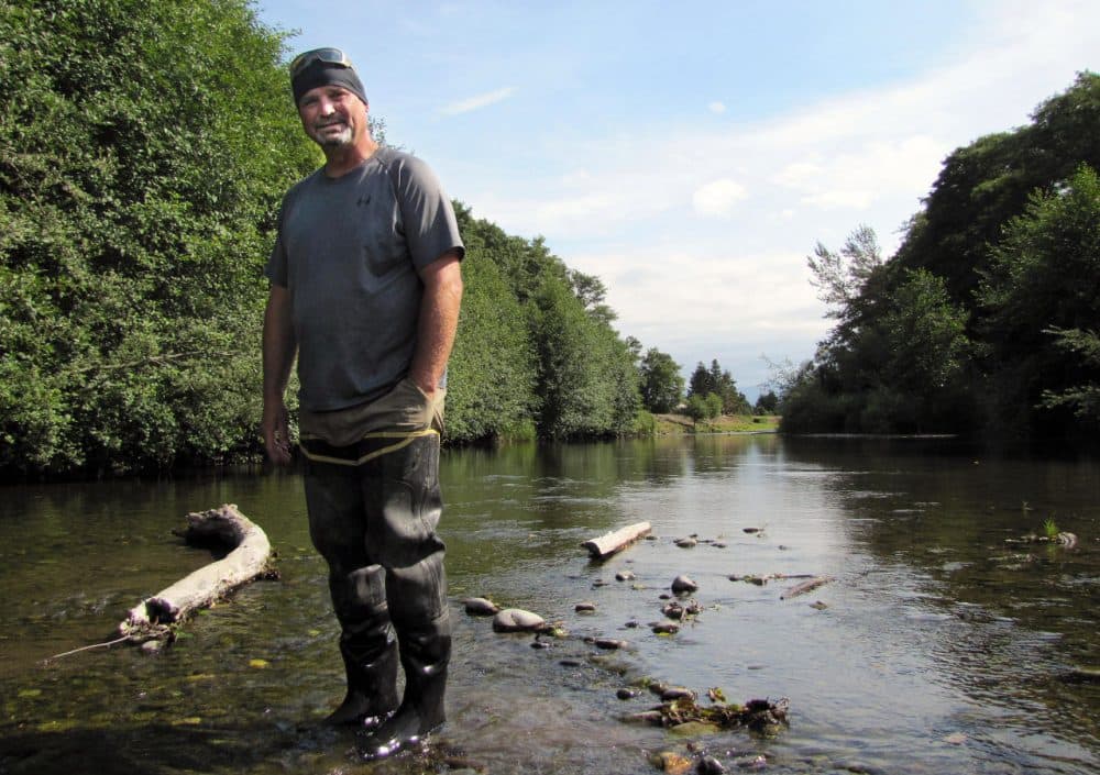 Chris Burns, natural resources technician with Washington’s Jamestown S’Klallam Tribe, stands in the Dungeness River. Flows are roughly one-third of normal, prompting fears that salmon won’t be able to make it upstream to spawn. (Ashley Ahearn/EarthFix-KUOW)