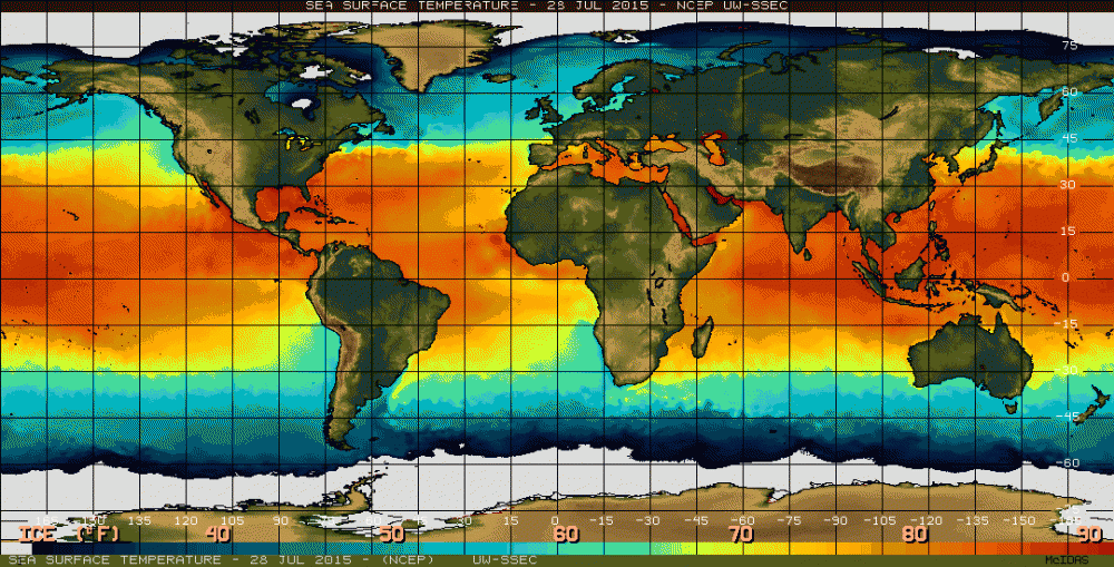A map shows sea surface temperatures on July 28, 2015. El Niño is characterized by unusually warm temperatures in the Pacific and affects global temperatures and rainfall. (NOAA)