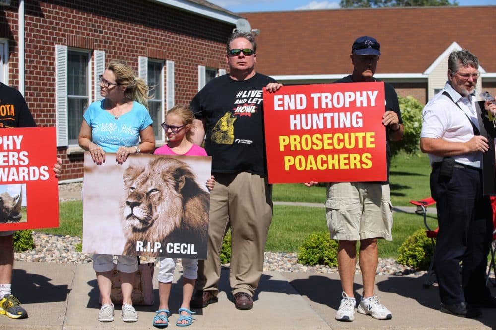 People protest against poaching after the death of Cecil the lion, in the parking lot of Dr. Walter Palmer's River Bluff Dental Clinic on July 29, 2015 in Bloomington, Minnesota. (Adam Bettcher/Getty Images)