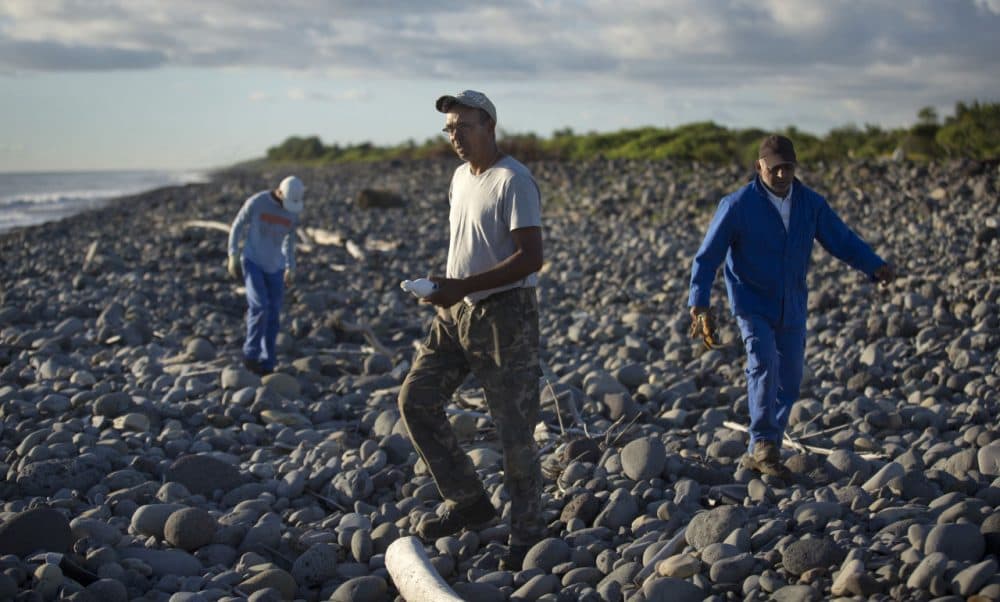 Workers for an association responsible for maintaining paths to the beaches from being overgrown by shrubs, search the beach for possible additional airplane debris near the shore where an airplane wing part was washed up on the north coast of the Indian Ocean island of Reunion on Friday. (Ben Curtis/AP)