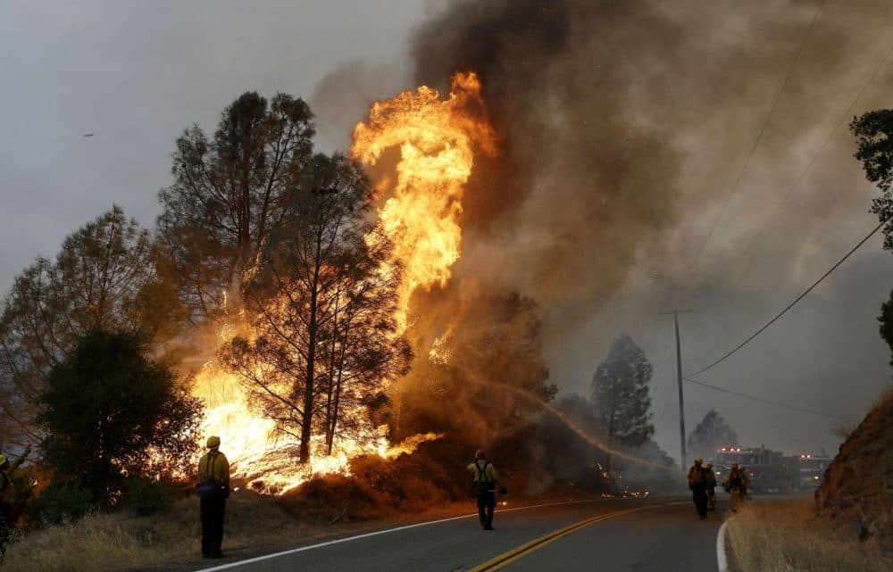 Firefighters spray a hose at a fire along Morgan Valley Road near Lower Lake, Calif. on July 31, 2015. (Jeff Chiu/AP)