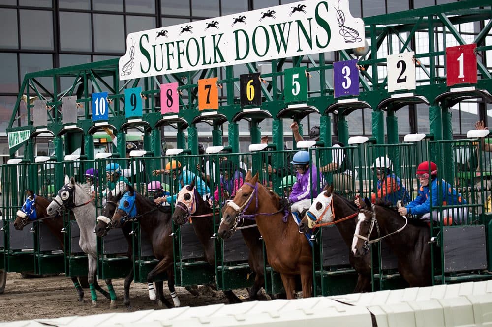 Horses line up at the gate during the last day of live racing at Suffolk Downs on Oct. 4, 2014.  Three special &quot;festival&quot; race days are coming up in the fall of 2015. (Jesse Costa/WBUR)