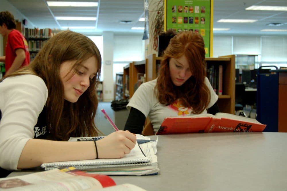 Two girls spend time at a library studying math and doing homework. (MC Quinn)