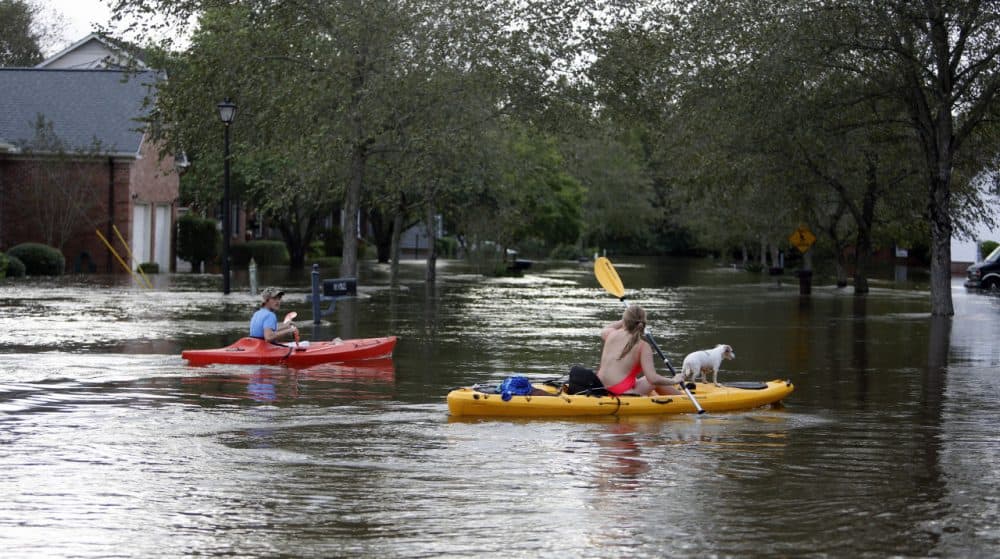 Residents of Summerville, S.C., survey storm damage in their neighborhood. (Mic Smith/AP)