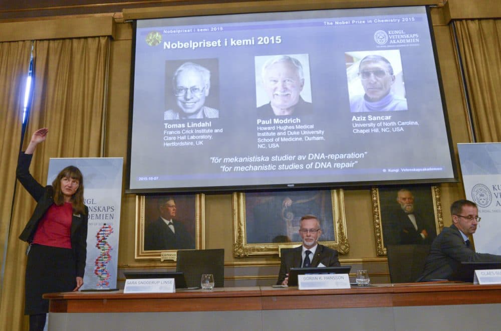 Professor Sara Snogerup Linse, left explains why the laureates were awarded as Goran K. Hansson (center) and Claes Gustafsson, members of the Nobel Assembly sit during a press conference at the Royal Swedish Academy in Stockholm, Wednesday, Oct. 7, 2015. Sweden's Tomas Lindahl, American Paul Modrich and U.S.-Turkish scientist Aziz Sancar won the Nobel Prize in chemistry on Wednesday for &quot;mechanistic studies of DNA repair.&quot; (Fredrik Sandberg/TT News Agency via AP)