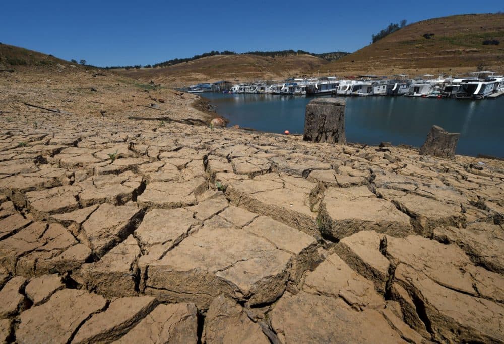 The New Melones Lake reservoir is seen at less than 20 percent capacity on May 24, 2015. (Mark Ralston/AFP/Getty Images)