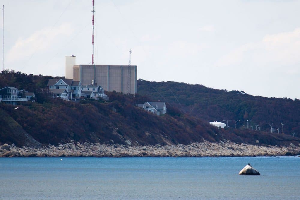 The Pilgrim Nuclear Power Station in Plymouth will close no later than June 1, 2019. (Jesse Costa/WBUR)