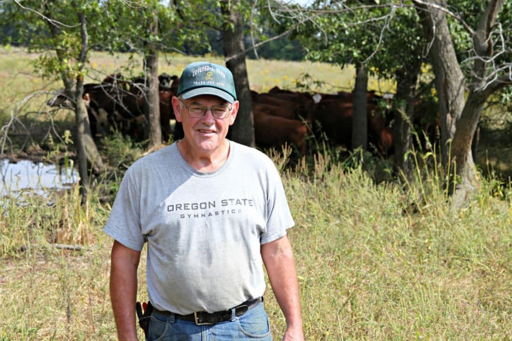 Farmer Steve Landers owns Covered-L Farms in central Missouri, where he raises grass-fed beef. (Kristofor Husted/Harvest Public Media)