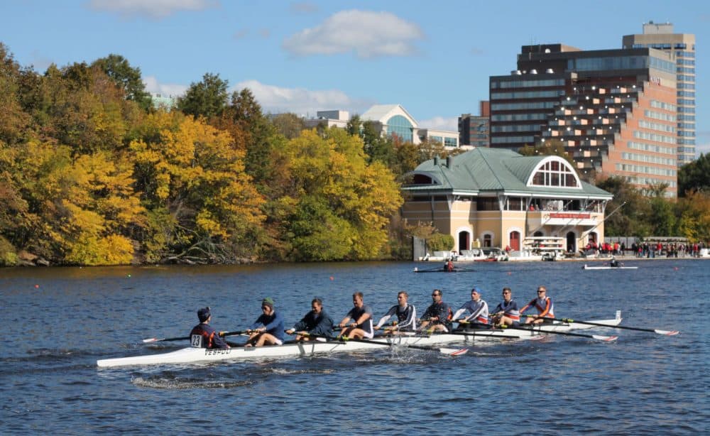 Rowers make their way past the Boston University Boathouse during the Head of the Charles competition on Saturday, Oct. 17, 2015. (Amy Gorel/WBUR)