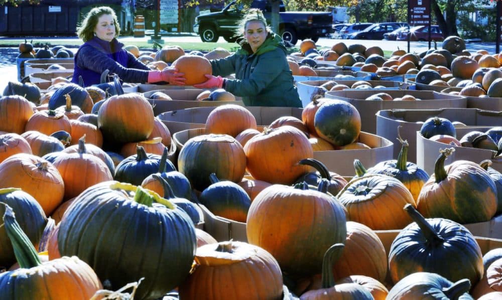 Lindsay Cota-Robles, left, and Tiffany Benton work to prepare about 4,000 pumpkins to be carved for Saturday's pumpkin festival on Friday in Laconia, N.H. The festival was held in Keene since 1991, but last year's event turned violent, with alcohol-fueled parties nearby leading to injuries, property damage and more than 100 arrests. (Jim Cole/AP)
