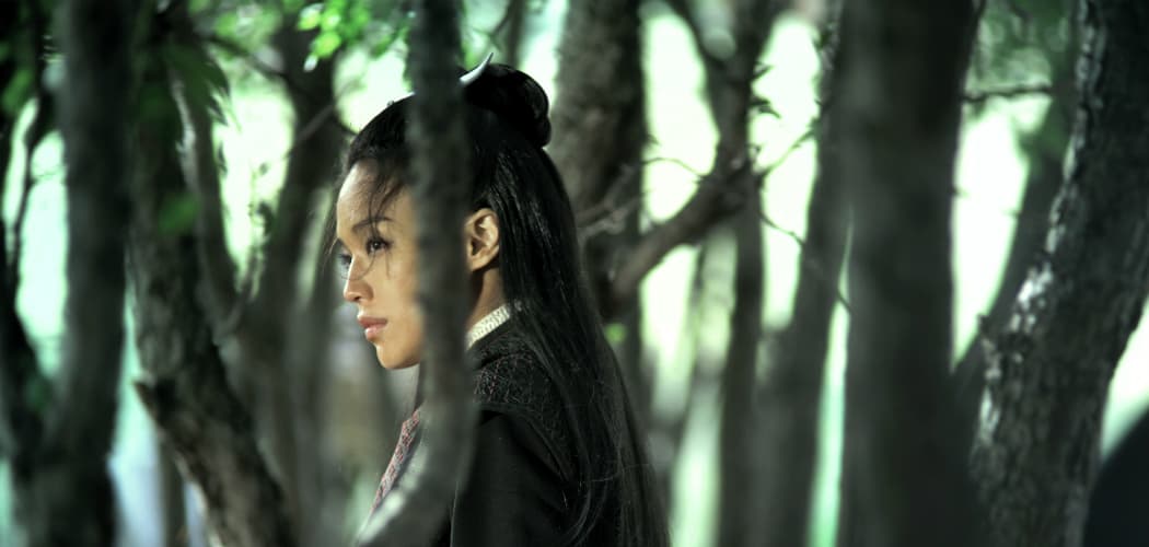 Qi Shu stars in Hou Hsiao-Hsien's 2015 film, &quot;The Assassin.&quot; (Courtesy IFFBoston)