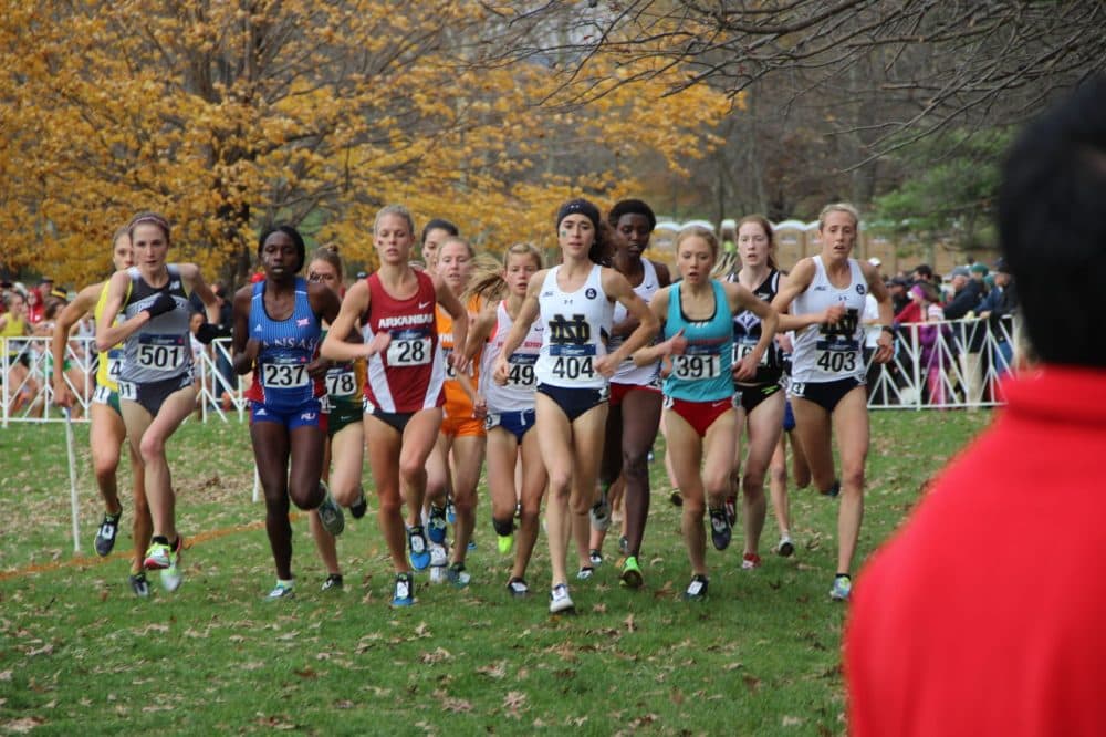 Notre Dame’s Molly Seidel (404) leads the women’s race at the NCAA Cross Country Championships in Louisville on Saturday. Seidel would go on to win race. Boise State’s Allie Ostrander, behind Seidel’s right shoulder, finished second. (Alex Ashlock)