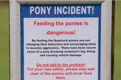 A sign warning people not to feed the ponies on the Quantock Hills in Somerset, England. October 24 2015. (Western Morning News)