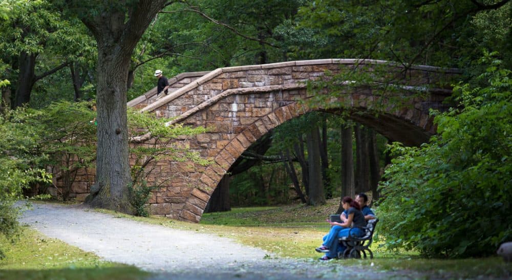 A couple sits on a bench near the Short Street Step Bridge by the Muddy River on the Riverway. The Riverway is part of landscape architect Frederick Law Olmsted's Emerald Necklace. (Jesse Costa/WBUR)