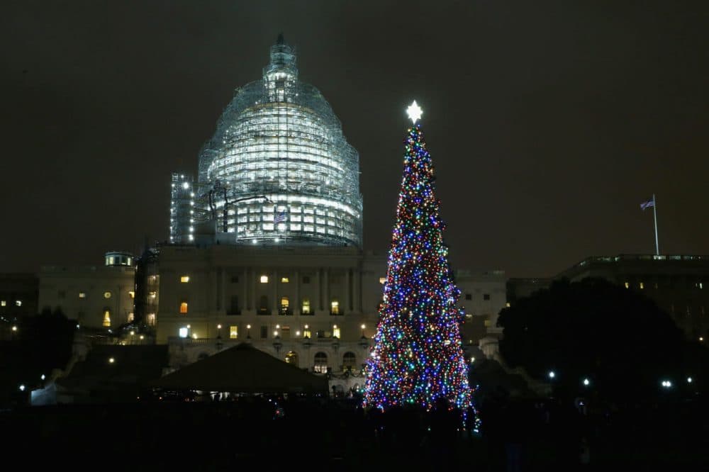 The Capitol Christmas tree is shown lighted during a ceremony on the west front of the U.S. Capitol December 2, 2015 in Washington, DC. (Chip Somodevilla/Getty Images)