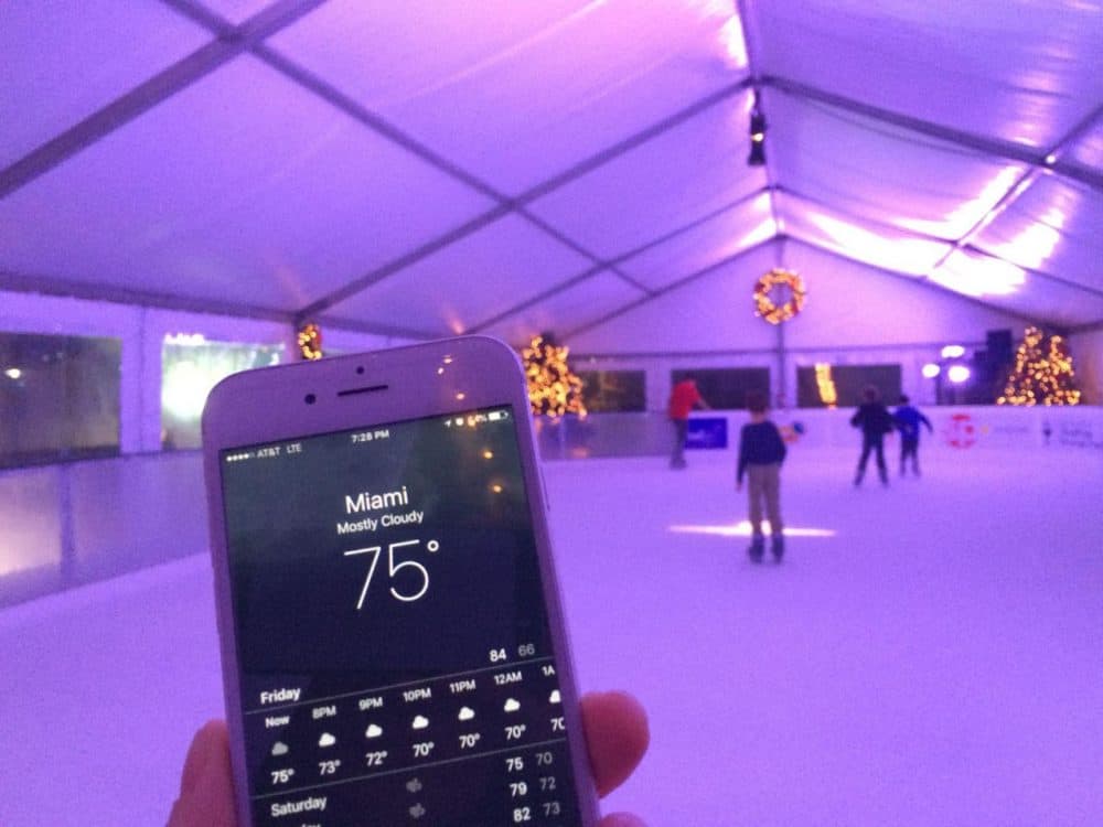 The InterContinental Hotel in downtown Miami has opened an outdoor ice skating rink this winter. (Wilson Sayre/WLRN)