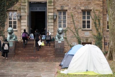 Tents are erected outside of Princeton University's Nassau Hall, where students are staging a sit-in, Thursday, Nov. 19, 2015, in Princeton, N.J. The protesters from a group called the Black Justice League, who staged a sit-in inside university President Christopher Eisgruber's office on Tuesday, demand the school remove the name of former school president and U.S. President Woodrow Wilson from programs and buildings over what they said was his racist legacy. (AP Photo/Julio Cortez)
