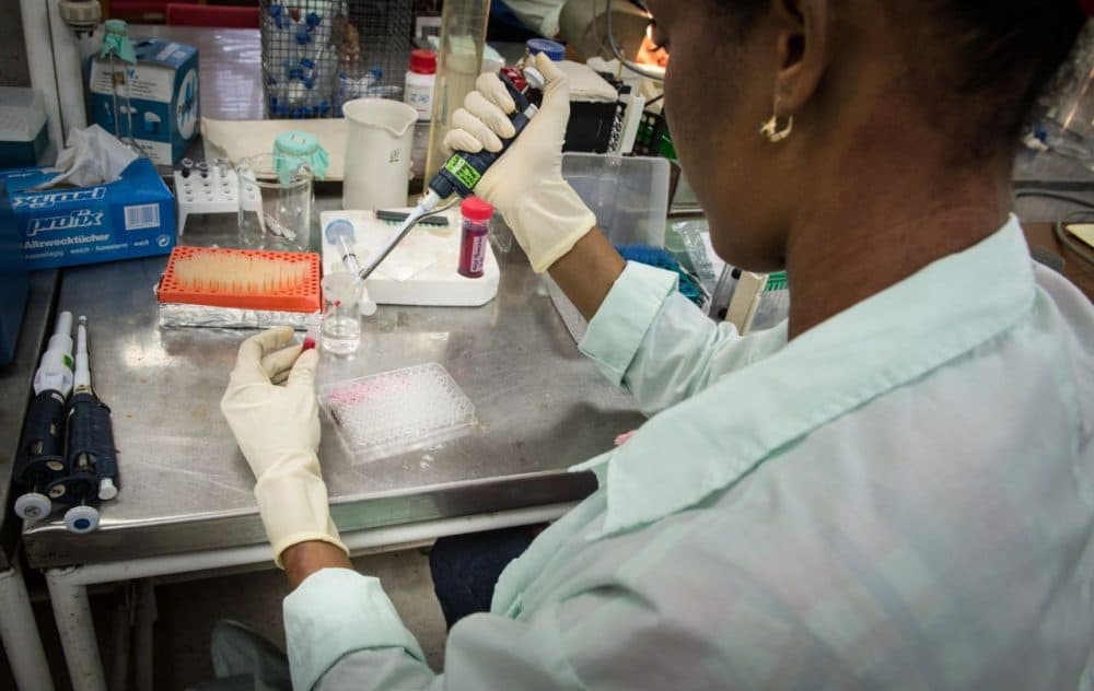 A lab technician works at the Center for Genetic Engineering and Biotechnology in Camaguey, Cuba on June 19, 2015. Cuban scientists are working on a vaccine for prostate cancer. (Adalberto Roque/AFP/Getty Images)