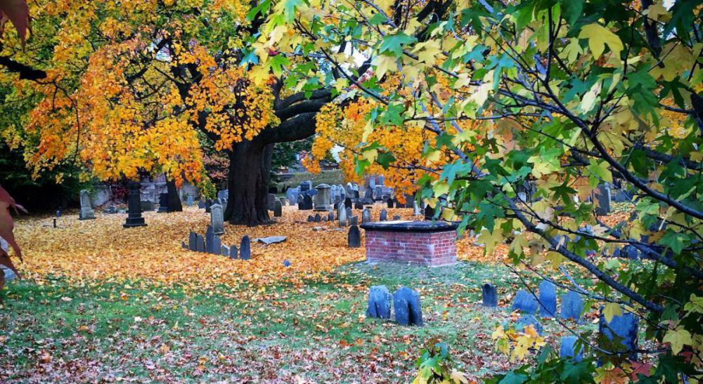 H. Louise Messinger: &quot;Dorchester North Burying Ground is a natural -- and national -- treasure. Woven through its beauty are vibrant stories -- a rich history of a place that deserves to remember itself. &quot; (Author/ Courtesy)