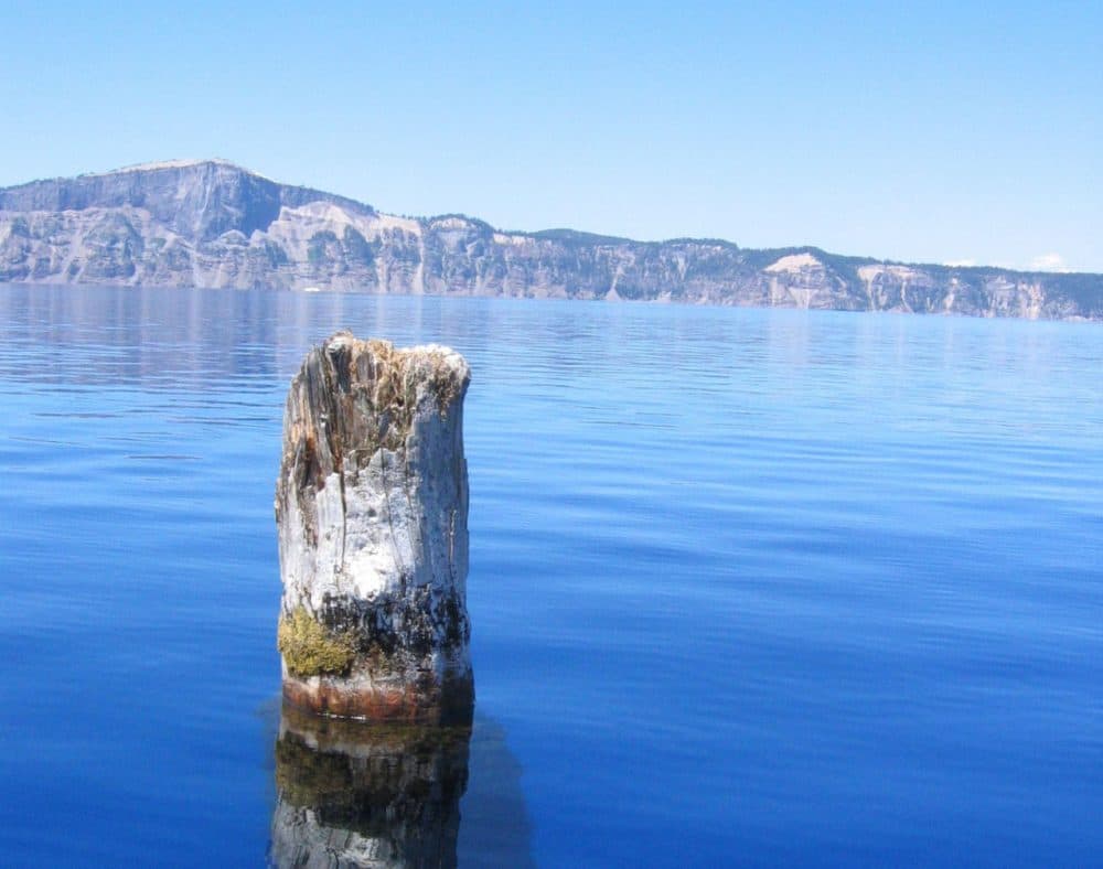A water-logged log nicknamed &quot;Old Man of the Lake&quot; floats in Crater Lake at Crater Lake National Park in southern Oregon, July 16, 2004. (AP Photo/Laura Meckler)