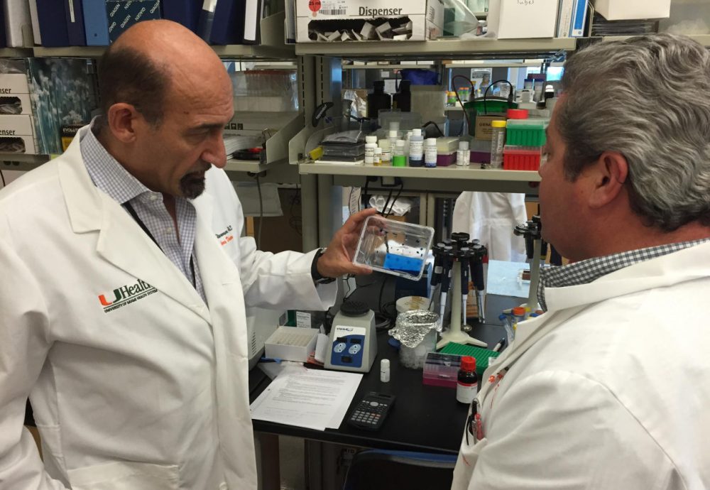 UM's Mario Stevenson (left) examines the new Zika virus detection test at his team's Miami lab. (Tim Padgett/WLRN)