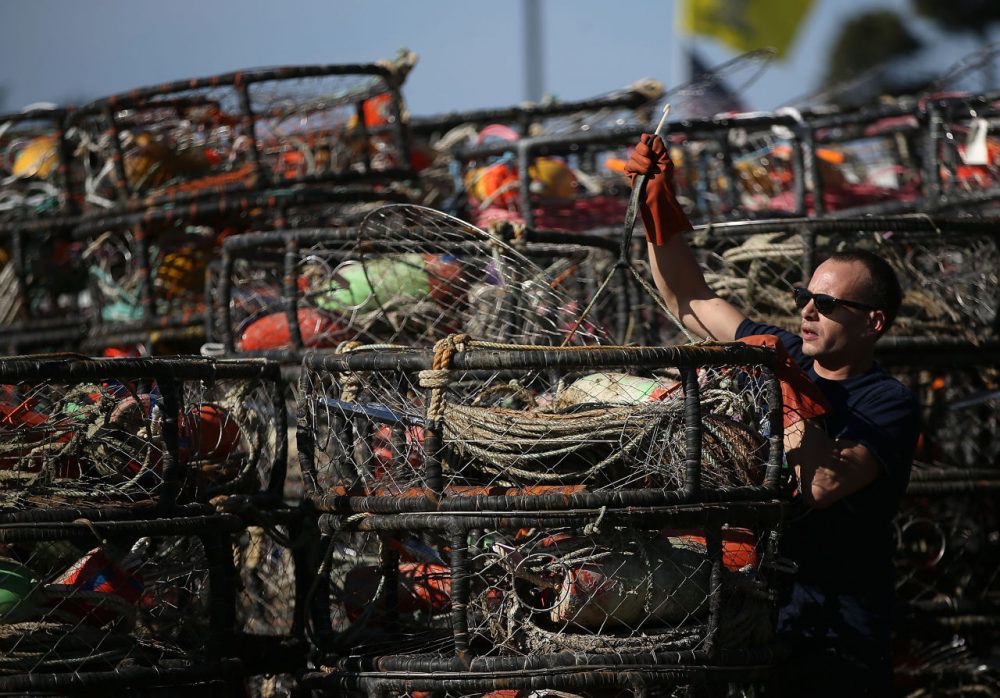 Chris Swim repairs crab traps in the parking lot of the Pillar Point Harbor on November 5, 2015 in Half Moon Bay, California, after the California Fish and Game Commission voted to suspend recreational Dungeness crab fishing for 180 days due to the a high level of the deadly neurotoxin domoic acid that has been found in the meat and viscera of Dungeness crabs caught off the coast of San Francisco.  ( Justin Sullivan/Getty Images)