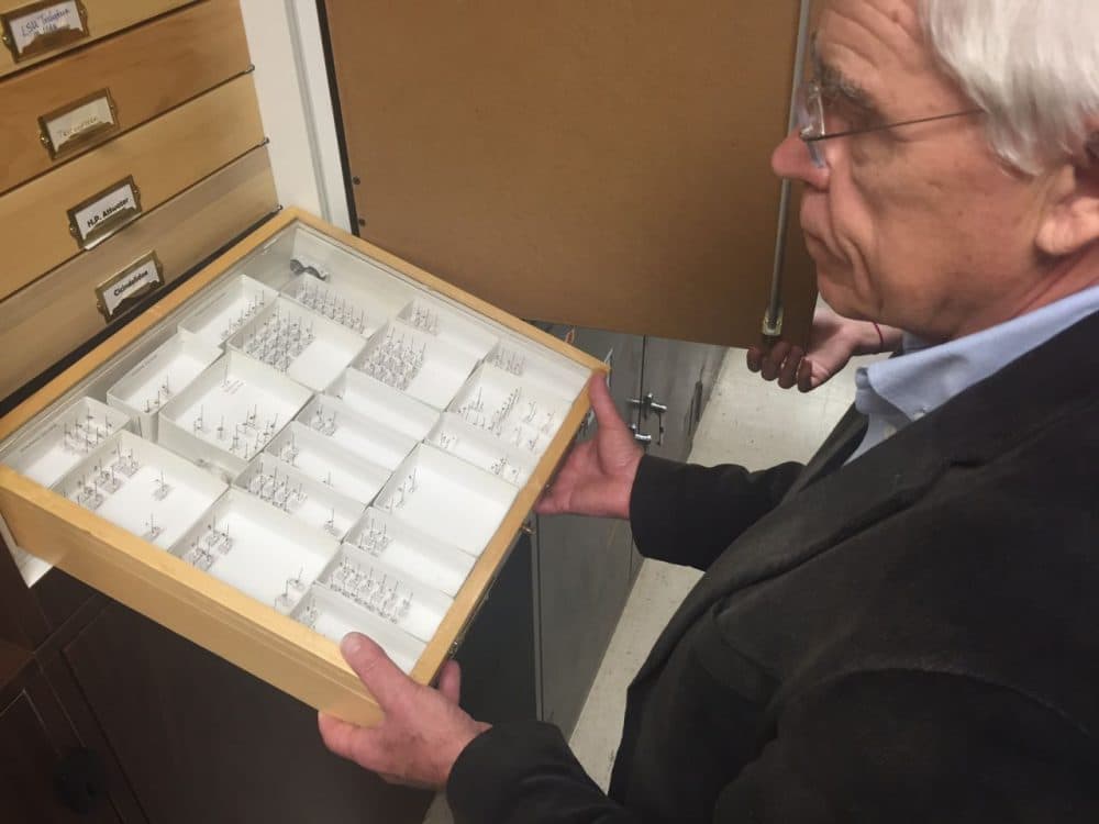 UNT Biology Professor James Kennedy shows a display case with the more than 50 types of mosquitoes that live in North Texas. (Lauren Silverman/KERA News)