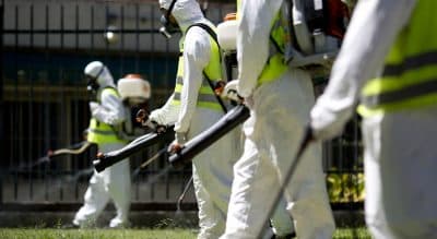 In this Jan. 27 file photo, a fumigation brigade sprays an area of Chacabuco Park in a Aedes mosquito control effort, in Buenos Aires, Argentina. The Zika virus is suspected of causing a rare but potentially devastating birth defect, an abnormally small head, which can indicate underlying brain damage. Concerns are keeping some workers from attending meetings and company retreats in affected locations but business travel experts say it does not yet appear to be having a broad impact. (Natacha Pisarenko/AP)
