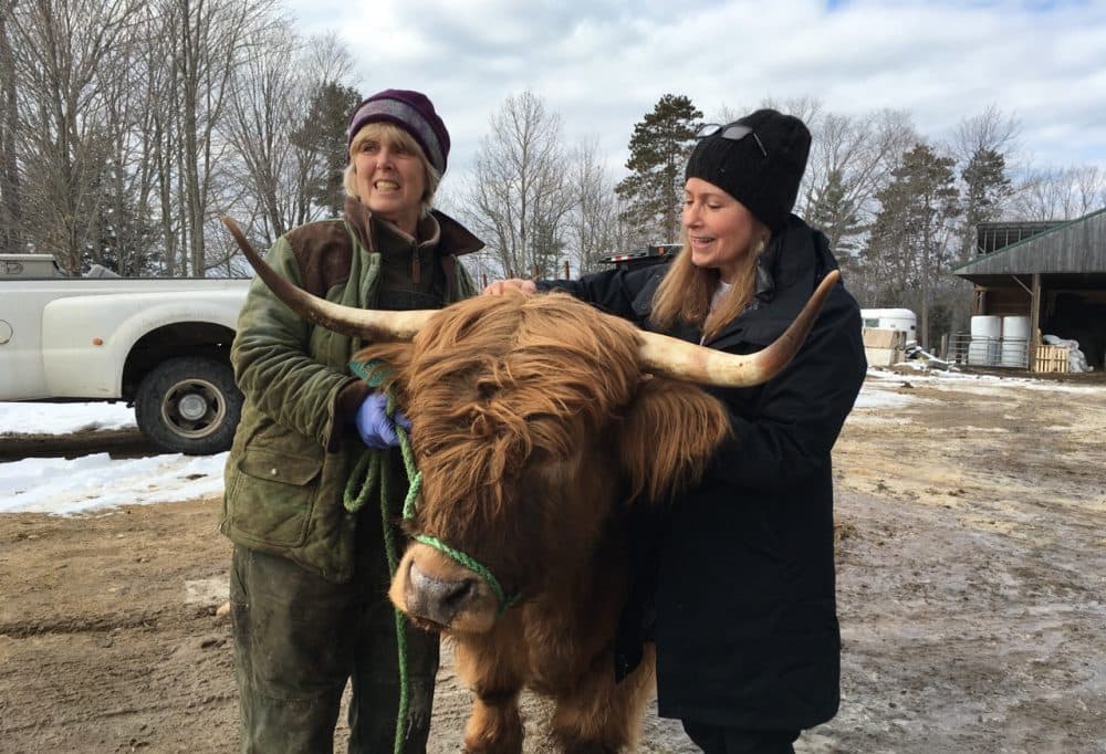 Carole Soule and Here &amp; Now's Robin Young are pictured at Miles Smith Farm. (Jill Ryan/Here &amp; Now)