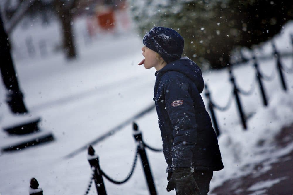 Leo Zavracky, 9, visiting from Dublin, Ireland, tries to catch snowflakes in mid-flight in the Boston Public Garden on Monday morning. (Jesse Costa/WBUR)