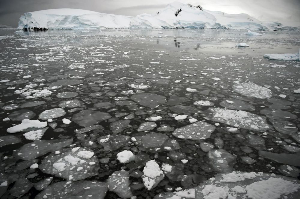 Ice floats on the surface of the sea in the western Antarctic peninsula, on March 05, 2016.  Waddling over the rocks, legions of penguins hurl themselves into the icy waters of Antarctica, foraging to feed their young. Like seals and whales, they eat krill, an inch-long shrimp-like crustacean that forms the basis of the Southern Ocean food chain. But penguin-watchers say the krill are getting scarcer in the western Antarctic peninsula, under threat from climate change and fishing.   AFP PHOTO/EITAN ABRAMOVICH / AFP / EITAN ABRAMOVICH        (Photo credit should read EITAN ABRAMOVICH/AFP/Getty Images)