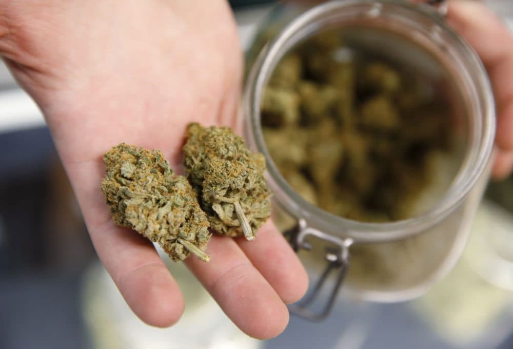 A bud tender holds two marijuana buds at the Denver Kush Club. (David Zalubowski/AP)