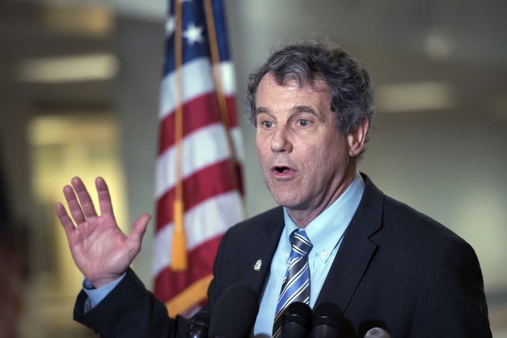 Sen. Sherrod Brown, D-Ohio speaks to members of media after his meeting with Judge Merrick Garland, President Barack Obama's choice to replace Antonin Scalia on the Supreme Court, on Capitol Hill in Washington, Thursday, April 7, 2016. (Sait Serkan Gurbuz/AP)