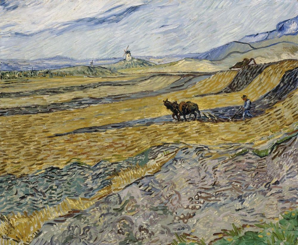 &quot;Enclosed Field with Ploughman&quot; (1889). Van Gogh painted this view from his window at an asylum in southern France. (Courtesy of Museum of Fine Arts, Boston)